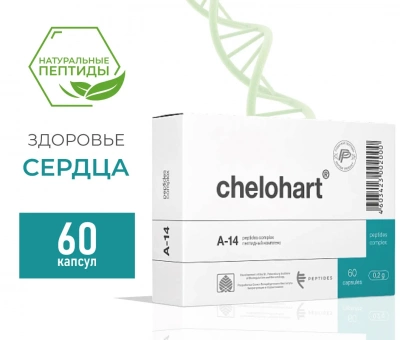 Челохарт — пептид для сердца (60 капсул) фото 1