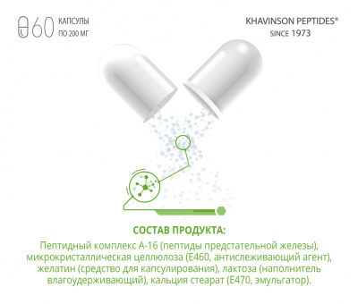 Либидон — пептид для предстательной железы (60 капсул) фото 2